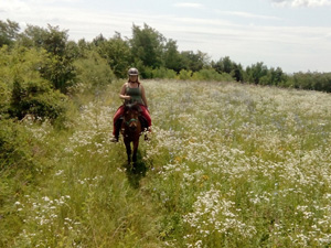 randonnée à cheval Serbie Sumadija photo 4