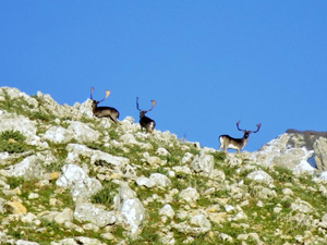 randonnée à cheval Italie Sicile photo 3