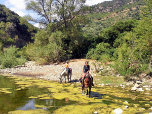 randonnée à cheval Italie Sicile photo 6