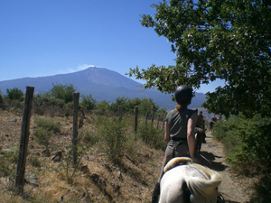 randonnée à cheval Italie Sicile photo 3