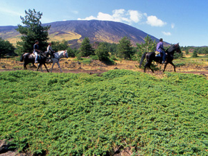 randonnée à cheval Italie Sicile photo 6