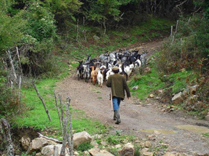 randonnée à cheval Italie Sicile photo 7