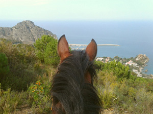 randonnée à cheval Italie Sicile photo 5