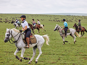 randonnée à cheval tanzanie serengeti la migration du serengeti