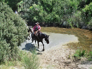 randonnée à cheval Italie Toscane photo 3