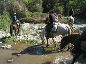 randonnée à cheval Italie Toscane photo 3