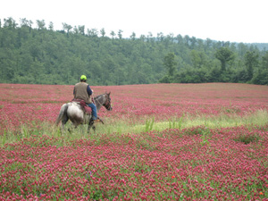 randonnée à cheval Italie Toscane photo 4