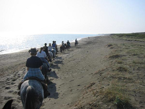 randonnée à cheval italie toscane la randonnée de la maremma**