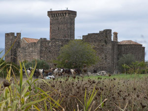 randonnée à cheval Italie Toscane photo 2