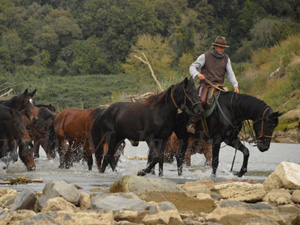 randonnée à cheval Italie Toscane photo 3