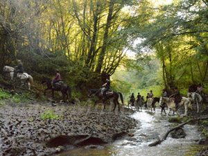 randonnée à cheval Italie Toscane photo 4