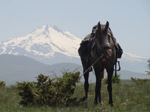 randonnée à cheval Turquie Cappadoce photo 7