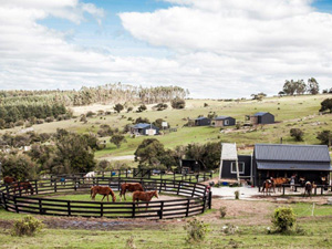 randonnée à cheval Uruguay Maldonado photo 3