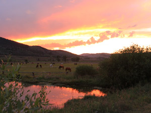 randonnée à cheval Etats-Unis Wyoming  photo 4
