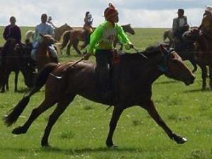 randonnées à cheval organisation 3