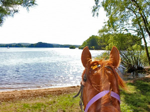 randonnée à cheval france bourgogne les lacs du morvan