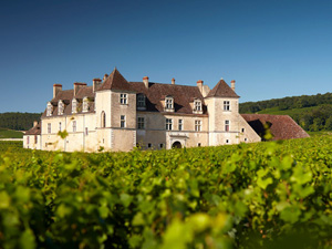 randonnée à cheval france bourgogne vignobles et châteaux de bourgogne