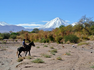 randonnée à cheval Chili Atacama photo 2