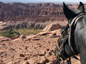 randonnée à cheval Chili Atacama photo 3