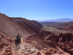 randonnée à cheval Chili Atacama photo 4