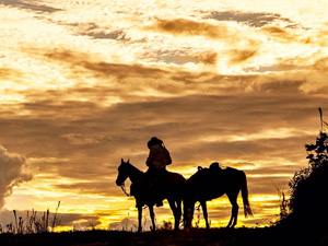 randonnée à cheval Colombie Casanare photo 1