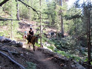 randonnée à cheval France Corse photo 1