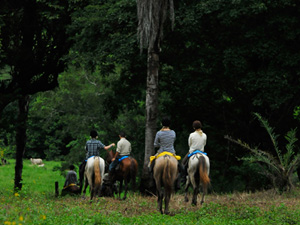 randonnée à cheval Costa Rica Alajuela photo 3