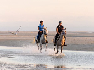 randonnée à cheval france hauts-de-france galops en baie de somme