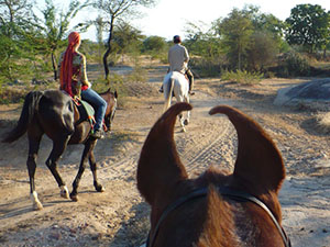 randonnée à cheval Inde Rajasthan photo 3