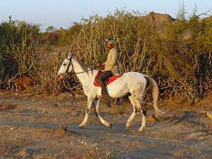 randonnée à cheval Inde Rajasthan photo 5