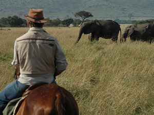 randonnée à cheval kenya sud-ouest le masaï mara