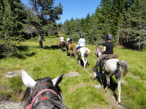 randonnée à cheval france occitanie le parc des cévennes