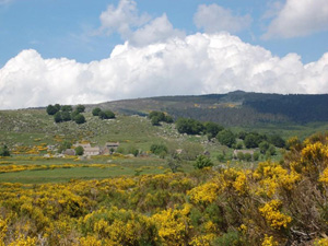 randonnée à cheval france occitanie le plateau de la margeride