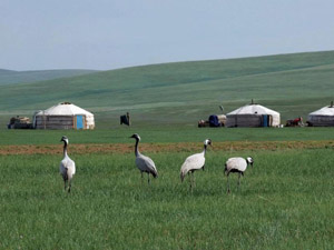 randonnée à cheval Mongolie Arkhangaï photo 1