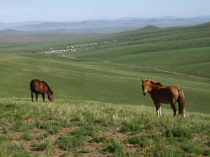 randonnée à cheval Mongolie Arkhangaï photo 8