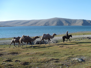 randonnée à cheval Mongolie Altaï photo 4