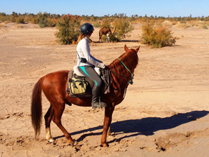randonnée à cheval Maroc Sud photo 3