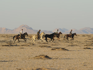 randonnée à cheval Namibie Désert du Namib photo 3
