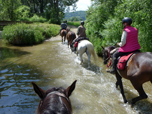 randonnée à cheval Pologne Basses-Carpates photo 5