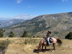 randonnée à cheval france provence-alpes au pays des mouflons